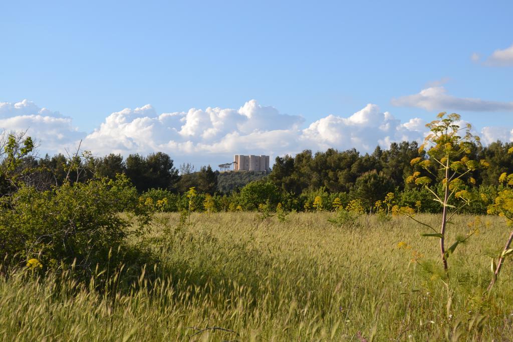 B&B Le Stagioni Castel Del Monte  Eksteriør bilde